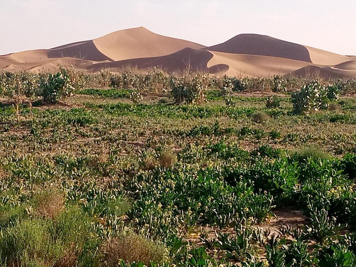 Chegaga Berber Camps M’hamid El Ghizlane