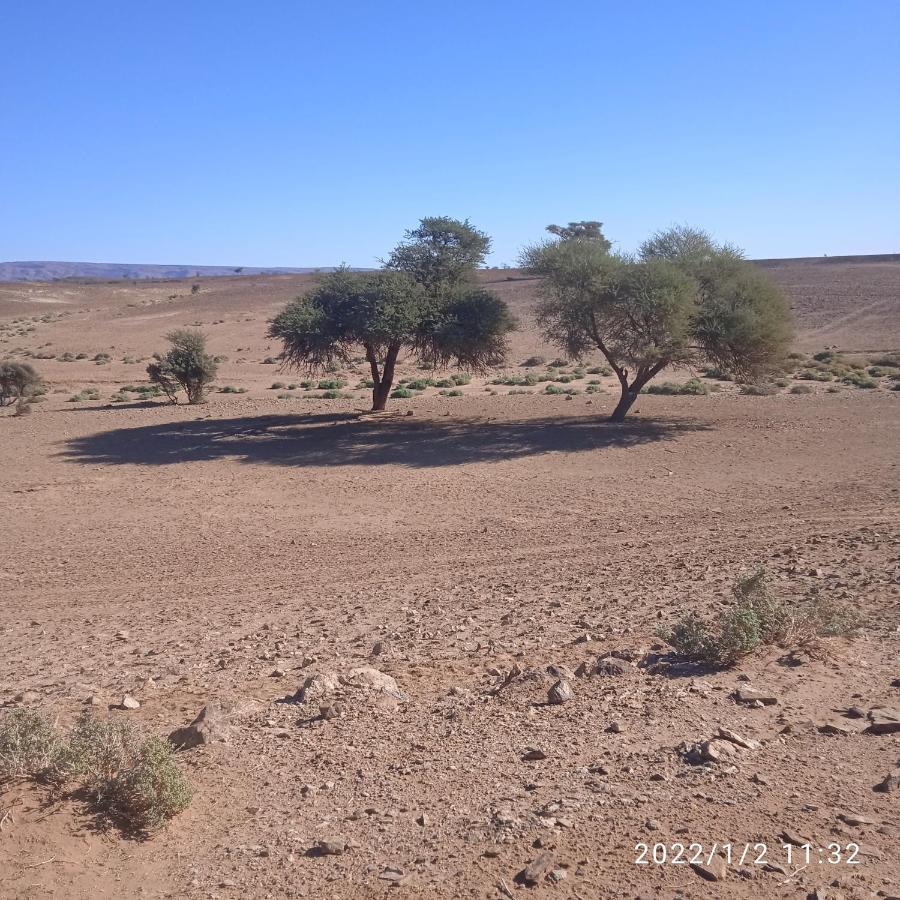 Chegaga Berber Camps M’hamid El Ghizlane