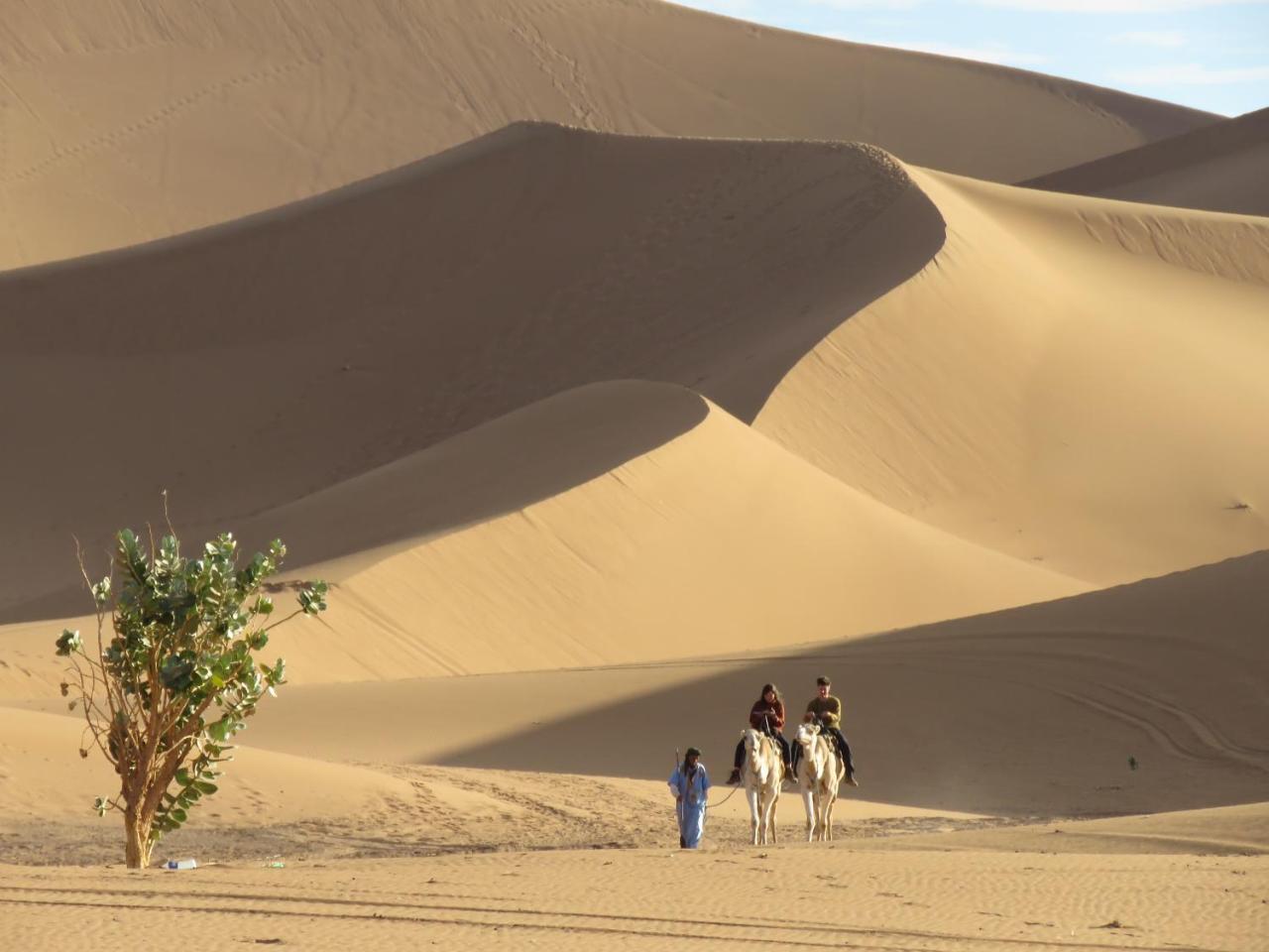 Chegaga Berber Camps 2*