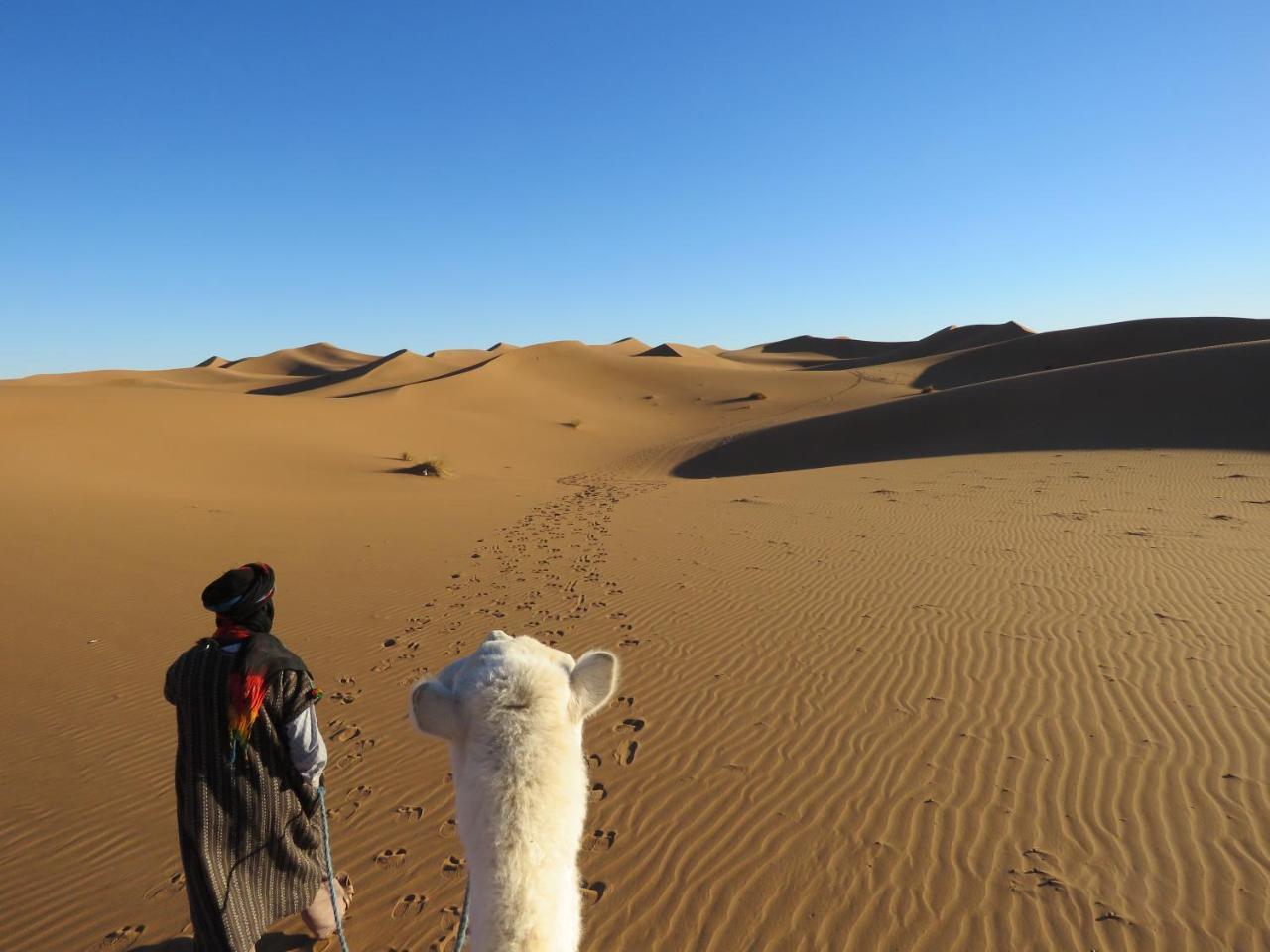 Luxuszelt Chegaga Berber Camps
