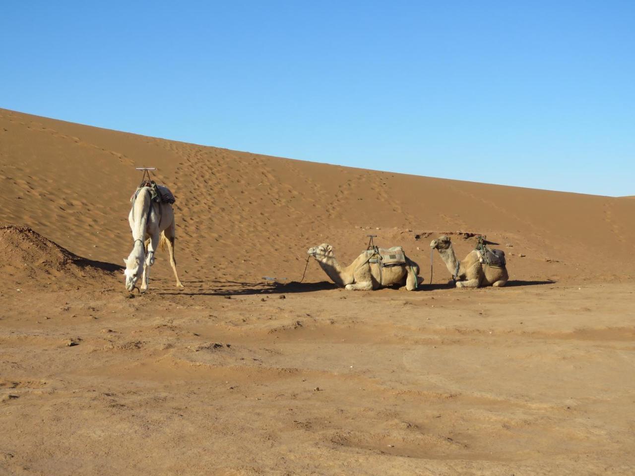 Chegaga Berber Camps Luxuszelt